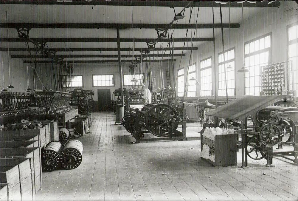 Inicios Seto Artificial Natura